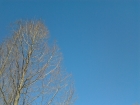 今天天气真好，这么蓝的天，恐怕只有反转片能够如实表现。 ... ...