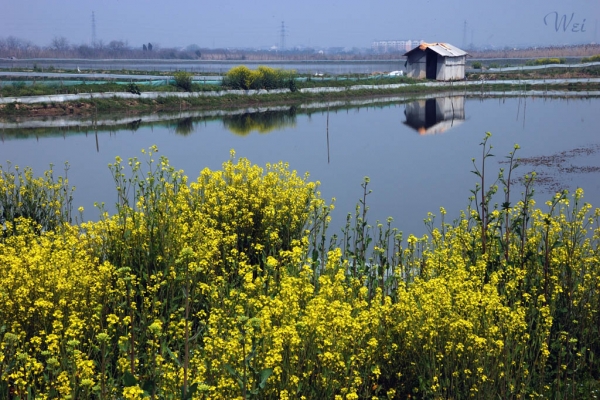 Spring_008.jpg