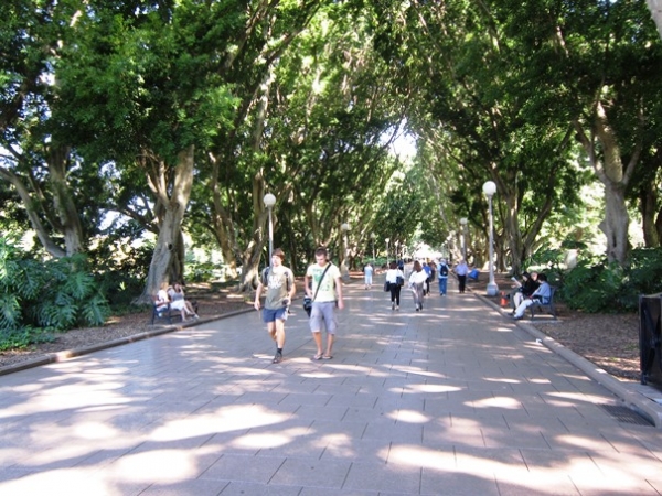 Sydney - Center park.jpg