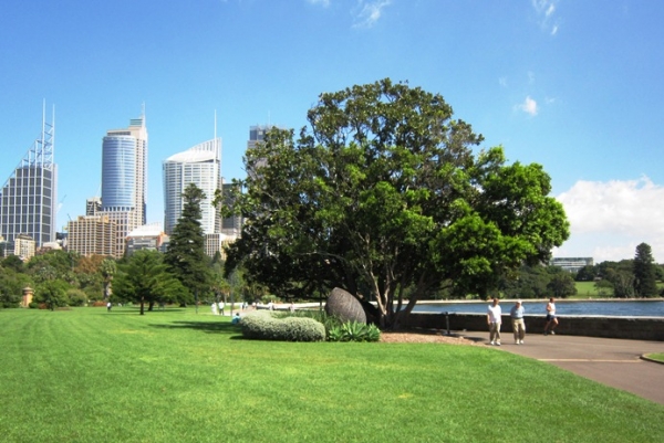 Sydney - park.jpg
